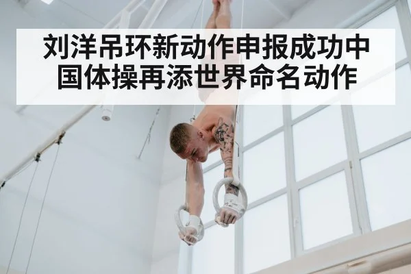 刘洋吊环新动作申报成功中国体操再添世界命名动作
